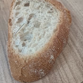 Tadhisar Unlu Mamüller Denetlenmeli