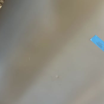 Hasarlı Buzdolabı Değişimi 1.5 Aydır Yapılmadı, Mağduriyetim Sürüyor