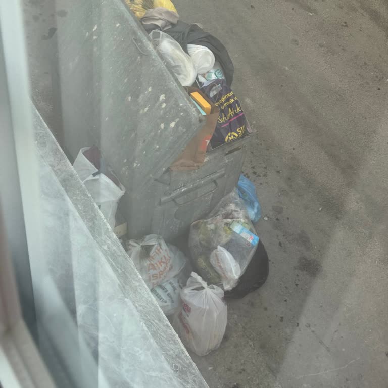 Çöp Kutusu Sorunu Yaşam Kalitemi Düşürüyor, Acil Çözüm İstiyorum