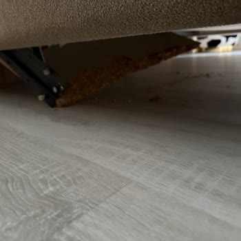 Karyola Mekanizması Aniden Kırıldı, Servis Desteği Sağlanmadı: Can Güvenliği Riski Ve Mağduriyet