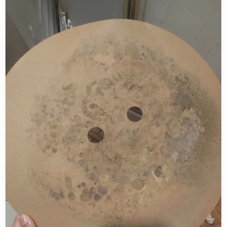 Kısa Sürede Küflenen Sepet İçin Değişim Talebim Reddedildi