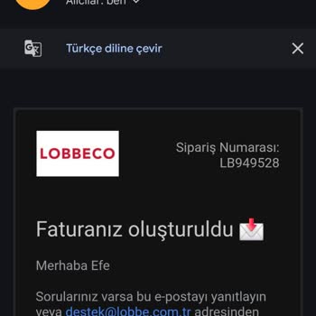 Lobbeco Siparişimin 24 Gündür Teslim Edilmemesi Ve Cevapsız Kalan İletişim Taleplerim