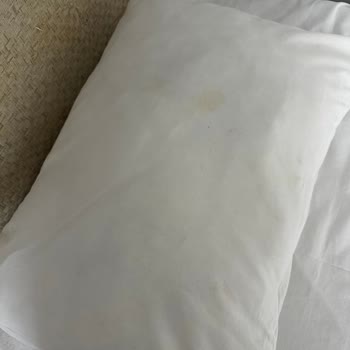 Cashmere Hotel'de Hijyen Sorunları Ve İade Talebi