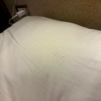 Cashmere Hotel'de Hijyen Sorunları Ve İade Talebi