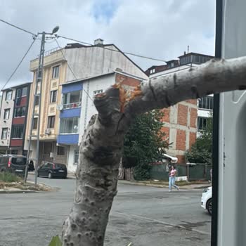 Kırık Ürün, İlgisiz Müşteri Hizmeti Ve Haksız Kesinti Mağduriyeti