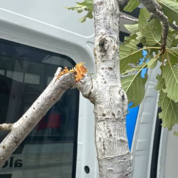 Kırık Ürün, İlgisiz Müşteri Hizmeti Ve Haksız Kesinti Mağduriyeti