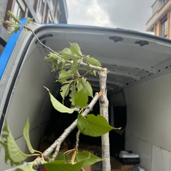 Kırık Ürün, İlgisiz Müşteri Hizmeti Ve Haksız Kesinti Mağduriyeti