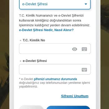 Dolap Uygulamasında E-devlet Şifresi Zorunluluğu Güvenlik Endişesi Yaratıyor