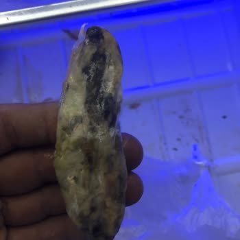 Beko Buzdolabı Sürekli Arızalı, Yiyecekler Hızla Bozuluyor Çözüm Bekliyorum