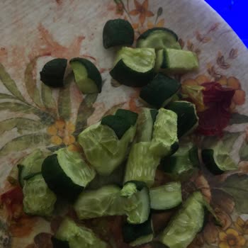 Beko Buzdolabı Sürekli Arızalı, Yiyecekler Hızla Bozuluyor Çözüm Bekliyorum