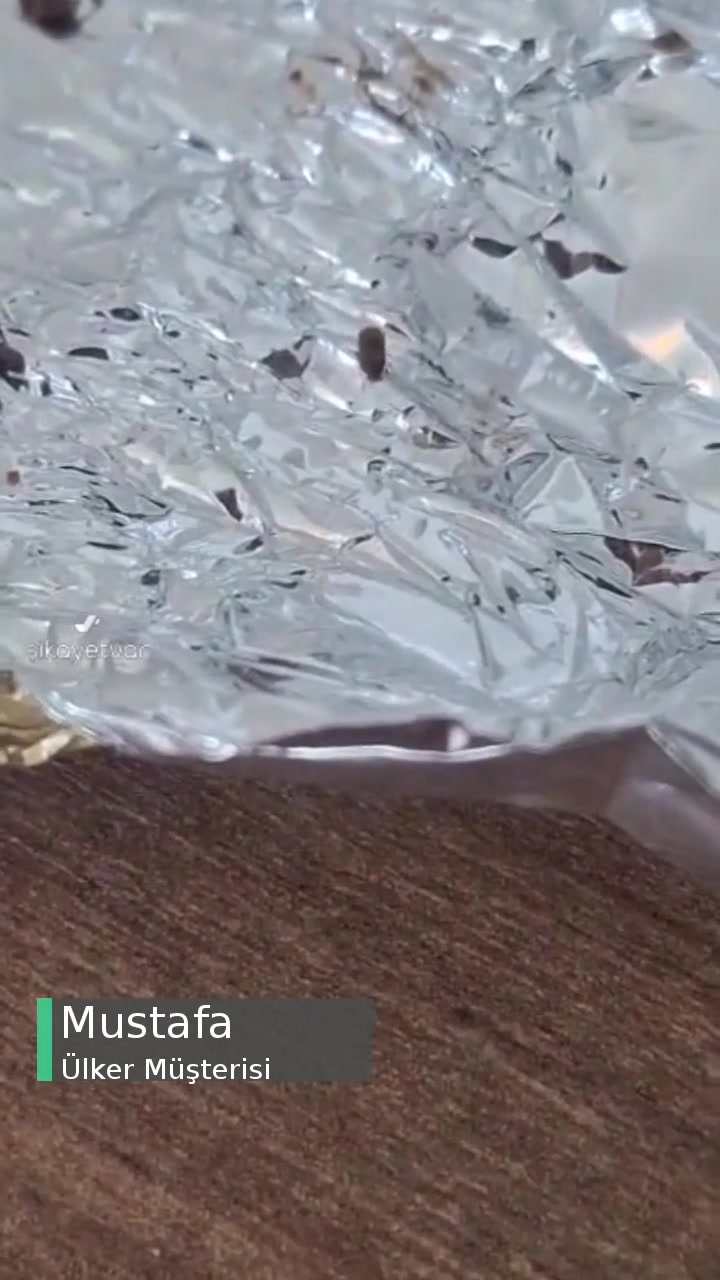 Ülker Konçerto Çikolatasından Böcek Çıktı! videonun kapak resmi