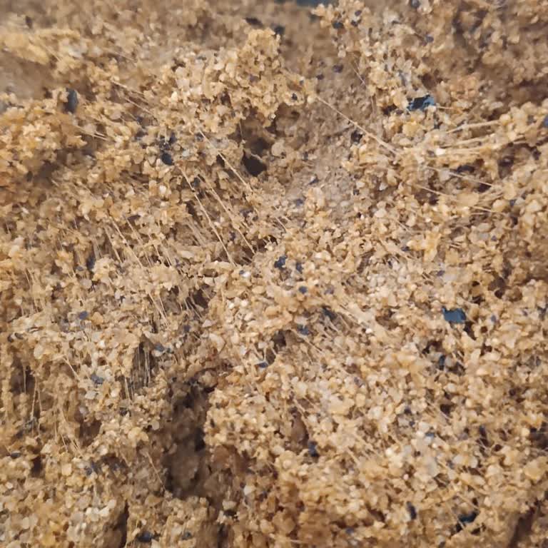 İçli Köftelik Bulgur Beklenmedik Şekilde Lastik Gibi Oldu, Mağduriyet Yaşadım