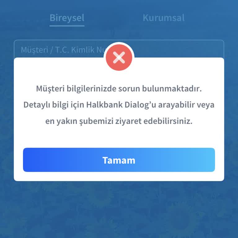 Halkbank Mobil Uygulamasına Giremiyorum, Sorunum Çözülmedi