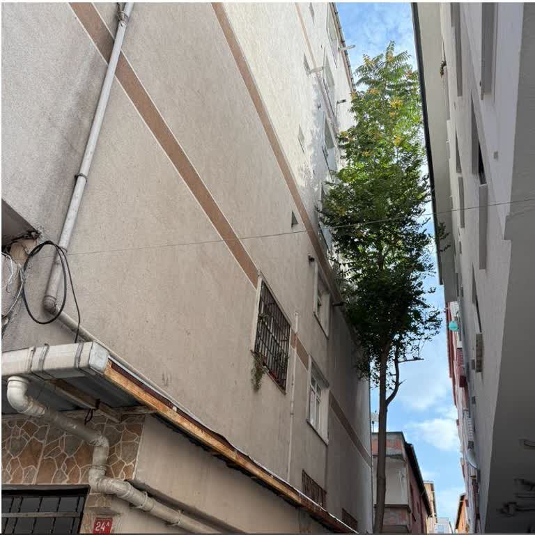 Acil Budama Talebine Yetersiz Çözüm Ve Güvenlik Endişesi