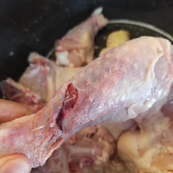 Aldığım Tavukta Bozukluk Ve Firma İlgisizliği Nedeniyle Mağduriyet Yaşadım