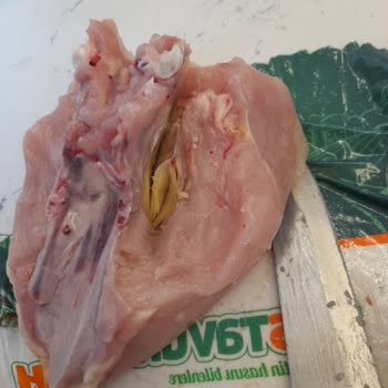 Aldığım Tavukta Bozukluk Ve Firma İlgisizliği Nedeniyle Mağduriyet Yaşadım