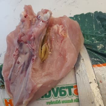 Aldığım Tavukta Bozukluk Ve Firma İlgisizliği Nedeniyle Mağduriyet Yaşadım