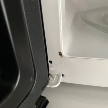 Mikrodalga Fırında Ani Kıvılcım Ve Yanma Sorunu