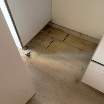 Sigorta Hasarım Eksik Ödendi, Mağduriyetim Giderilmiyor!