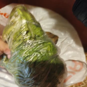 Çürük Ürün Teslimatı Ve Müşteri Hizmetlerinden Yanıt Alınamaması