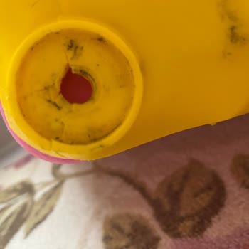 Pegasus Uçuşunda Valizim Kırıldı, Mağduriyetim Giderilmedi