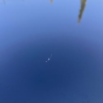 Opel Mokka Araçta Tavan Lekesi Ve Değer Kaybı Sorunu İçin Çözüm Talebi