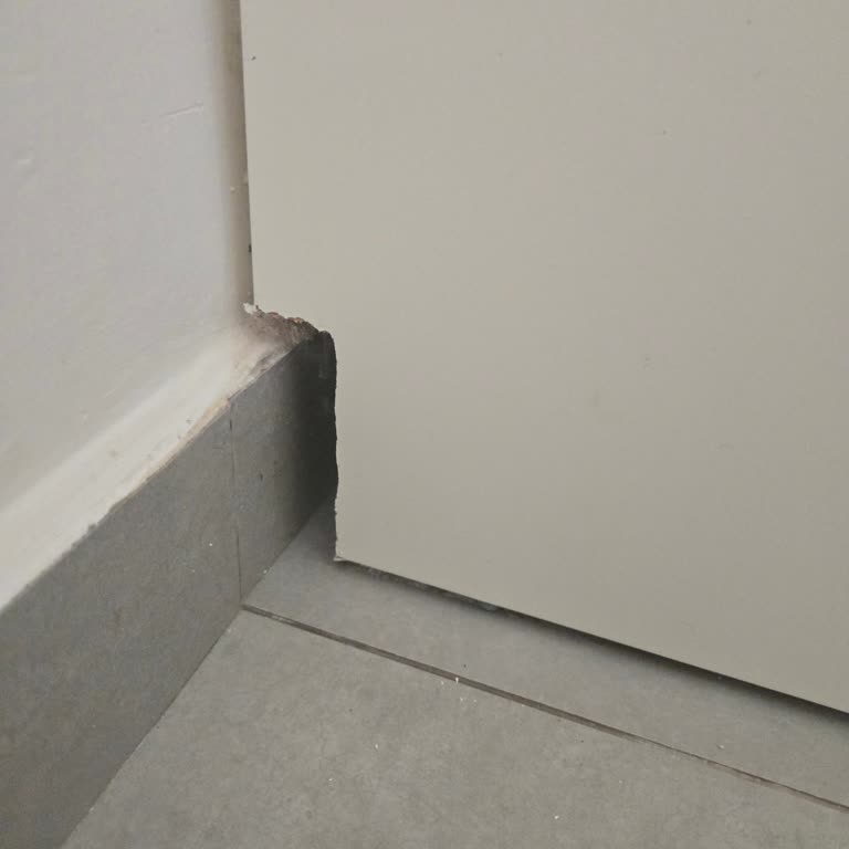 Lineadecor İle Yaşanan Montaj Ve Hizmet Sorunları