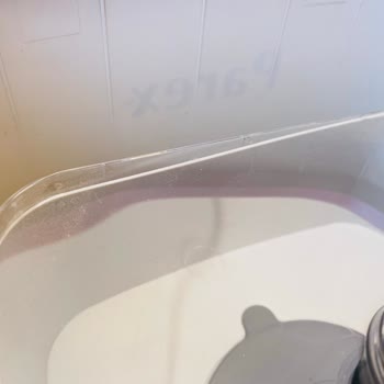 Parex Wondero Şeffaf Kapağı Yamulduğu İçin Bez Çok Islak Bırakıyor