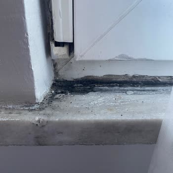 Otelfiyat.com | İdeal Tur Temizlik Sorunları Ve İlgisiz Hizmet Nedeniyle Hayal Kırıklığı Yaşadık