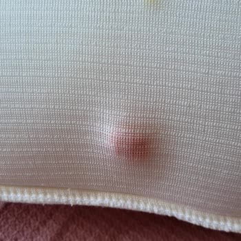 Promed Yastıktaki Ağır Koku Ve İçerik Şüphesi Nedeniyle İade Talebi