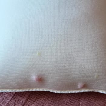 Promed Yastıktaki Ağır Koku Ve İçerik Şüphesi Nedeniyle İade Talebi