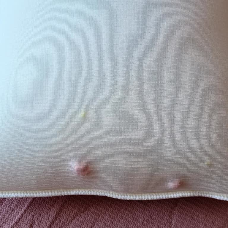 Promed Yastıktaki Ağır Koku Ve İçerik Şüphesi Nedeniyle İade Talebi