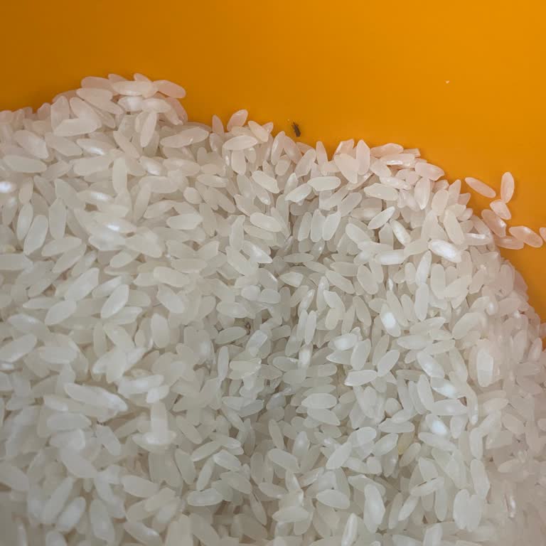 Aldığım Ürünlerde Tekrar Eden Böceklenme Sorunu Mağduriyet Yaşatıyor