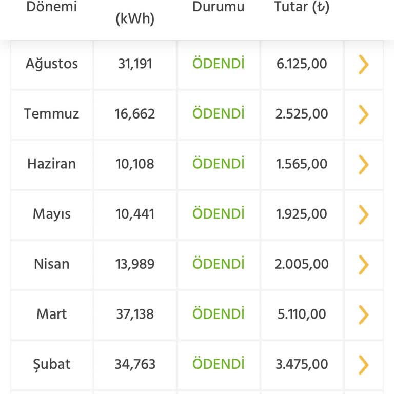 Elektrik Faturasında Aniden Yüksek Artış Ve Açıklama Talebi