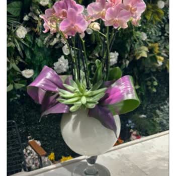 Taze Çiçek | Tazecicek.com Görseldeki Ürünle Alakasız Sipariş Ve Zorunlu Ürün Dayatması