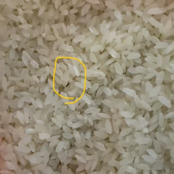 Aldığım Pirinçte Böcek Çıktı, Hijyen Ve Denetim Sorunu