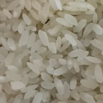 Aldığım Pirinçte Böcek Çıktı, Hijyen Ve Denetim Sorunu