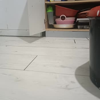 Türkiye Sigorta Yağmur Sonrası Su Baskını Hasarım Sigorta Tarafından Karşılanmadı