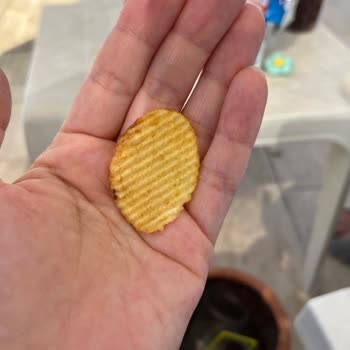 Aldığım Cipsin İçinden Kıl Çıktı, Hijyen Sorunu Yaşadım