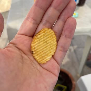 Aldığım Cipsin İçinden Kıl Çıktı, Hijyen Sorunu Yaşadım