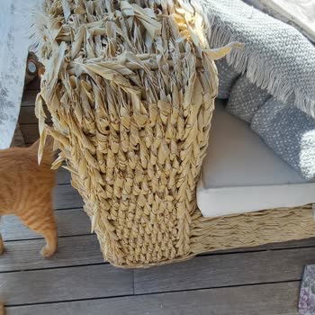 Yargıcı Mağazası Ürün Tesliminde Çözüm Sunmuyor, Mağduriyetim Devam Ediyor