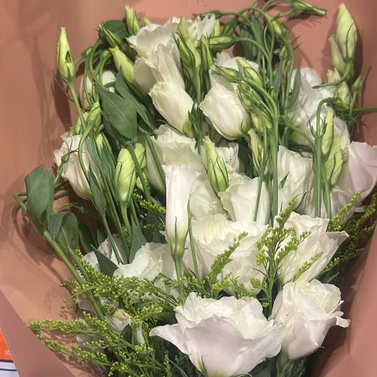 Solmuş Çiçek Teslimatı Ve Yetersiz Müşteri Hizmetiyle Mağduriyet Yaşadım