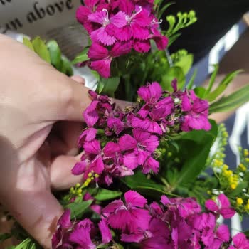 Özel Günde Bozuk Çiçek Ve Çözülmeyen Mağduriyet