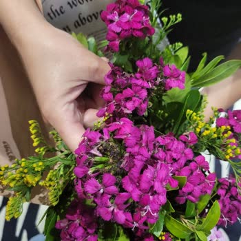 Özel Günde Bozuk Çiçek Ve Çözülmeyen Mağduriyet