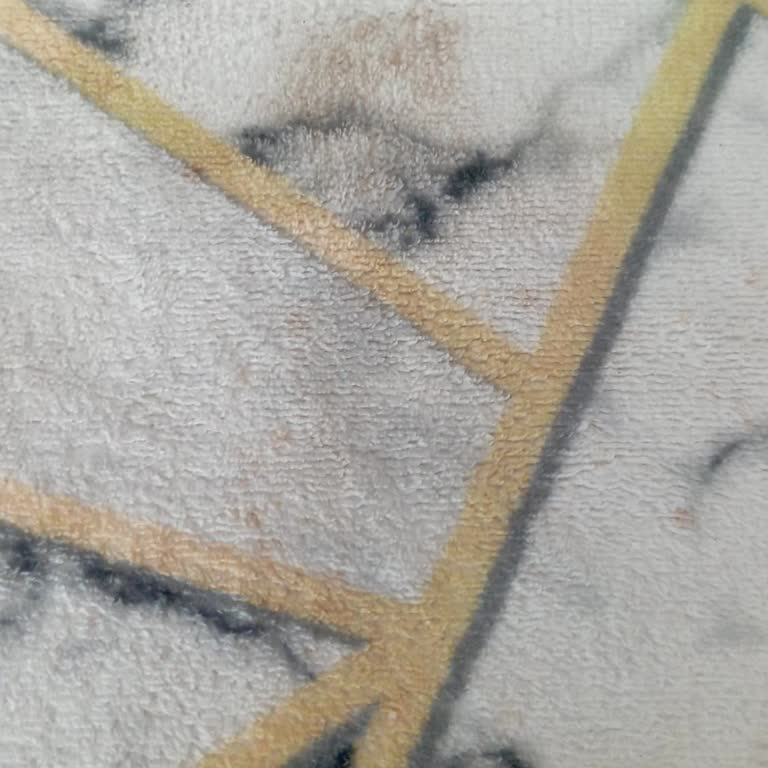 Halı Temizliğinde Tekrarlayan Leke Ve Koku Sorunu