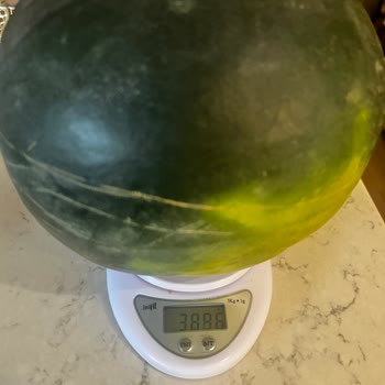 Eksik Ve Kusurlu Ürünler, Yetersiz Destek: Müşteri Mağduriyeti