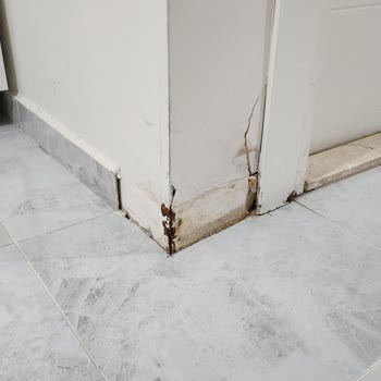 Eksperin Yerinde İnceleme Yapmaması Ve Sigorta Hasarının Karşılanmaması