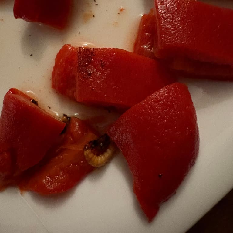 Aldığım Közlenmiş Bibere Kurt Çıktı, Şikayetim Cevapsız Kaldı