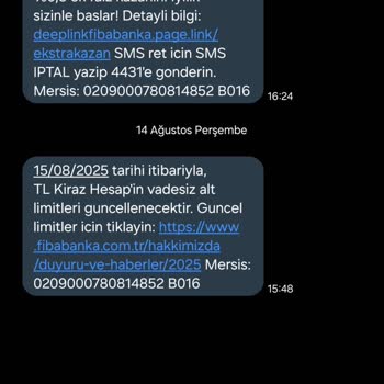 Hesap Limit Bilgilerine Erişim Sorunu ve Bilgilendirme Talebi