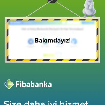 Hesap Limit Bilgilerine Erişim Sorunu ve Bilgilendirme Talebi